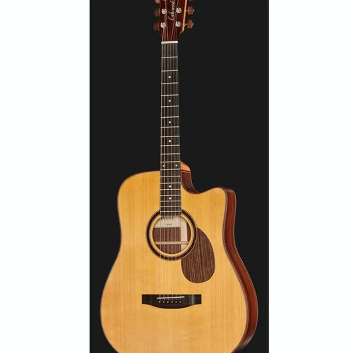 Lakewood D-31 Custom 12-Fret Tinted : Test et Avis