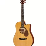 Lakewood D-31 Custom 12-Fret Tinted : Test et Avis