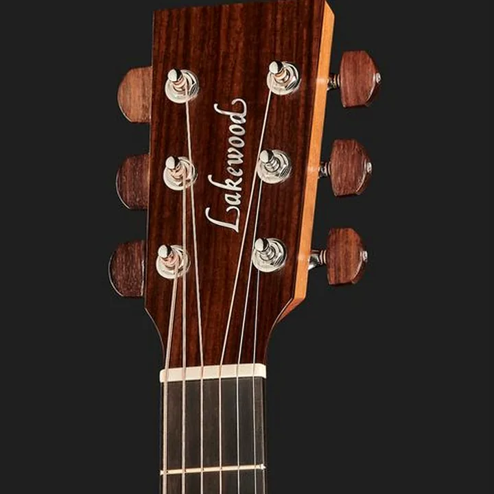 Lakewood D-31 Custom 12-Fret Tinted : Test et Avis