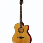 Larry Carlton A4-G NT / Test, Avis & Comparatif