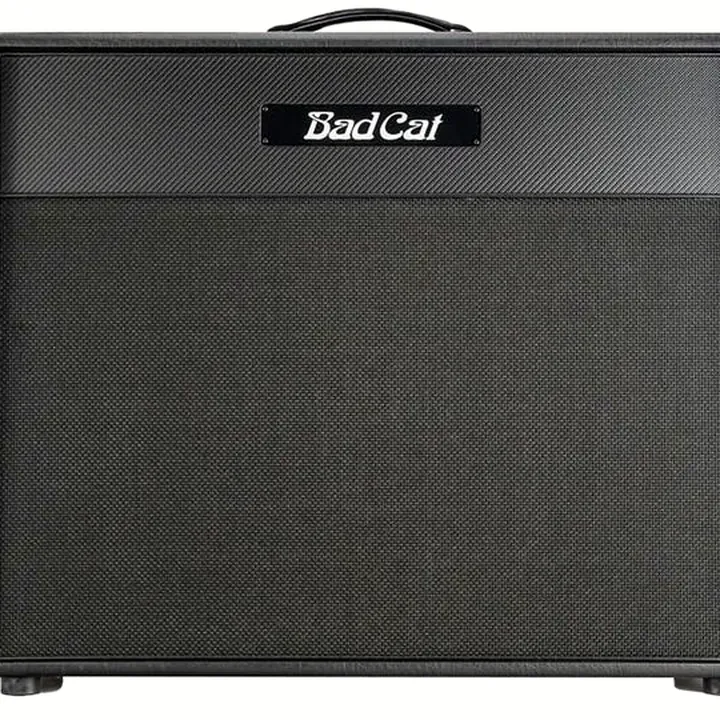 Baffle Bad Cat Lynx 2x12 Cab