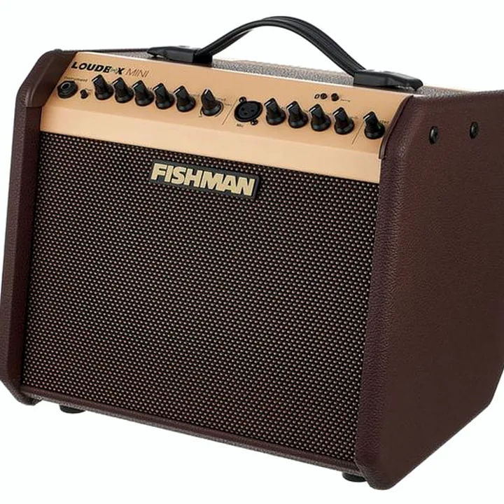 Le combo Fishman Loudbox Mini with Bluet Bundle, Test et Avis