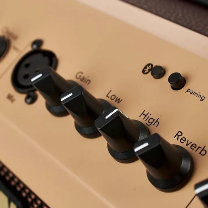 Le combo Fishman Loudbox Mini with Bluet Bundle, Test et Avis