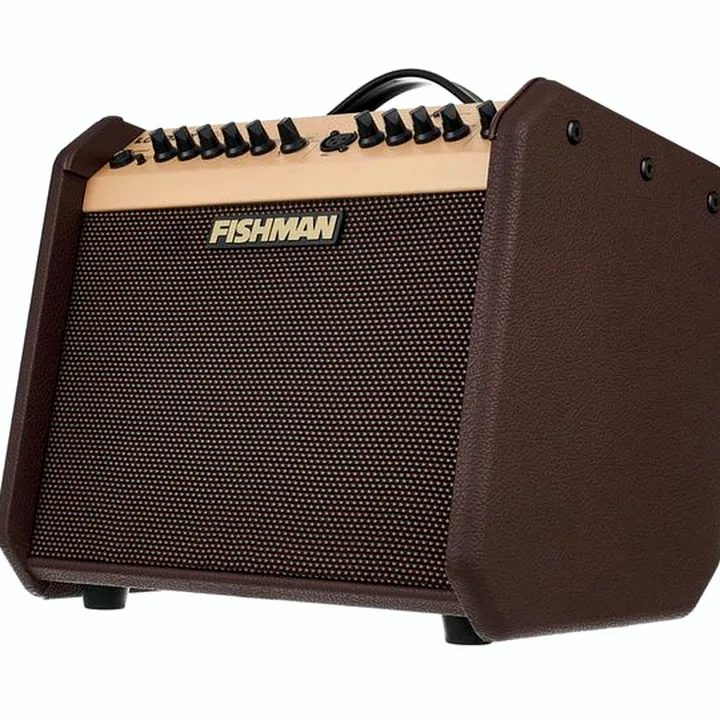 Le combo Fishman Loudbox Mini with Bluet Bundle, Test et Avis