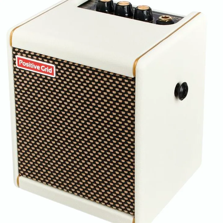 Positive Grid Spark Mini PW