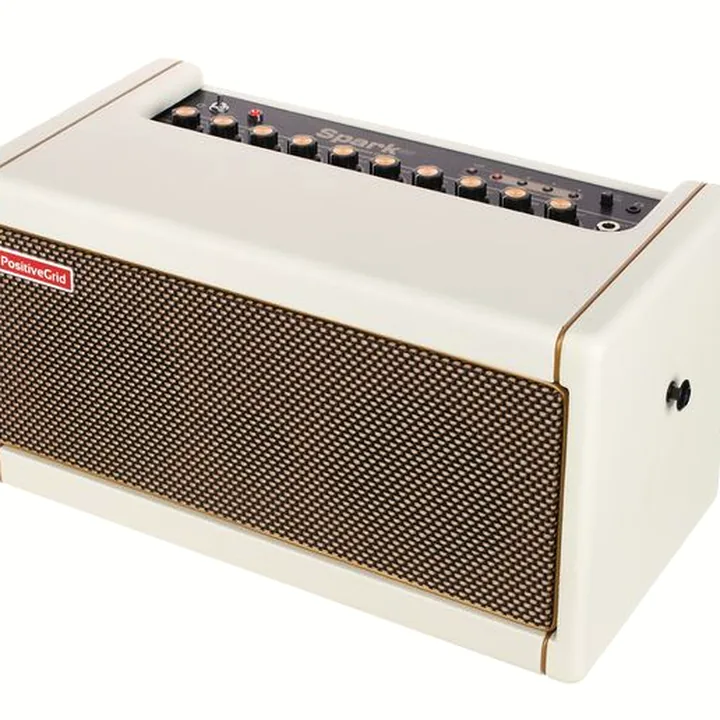 Positive Grid Spark 40 PW