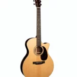 Martin Guitars GPC-16E-01 2024 Comparatif, Test, Avis