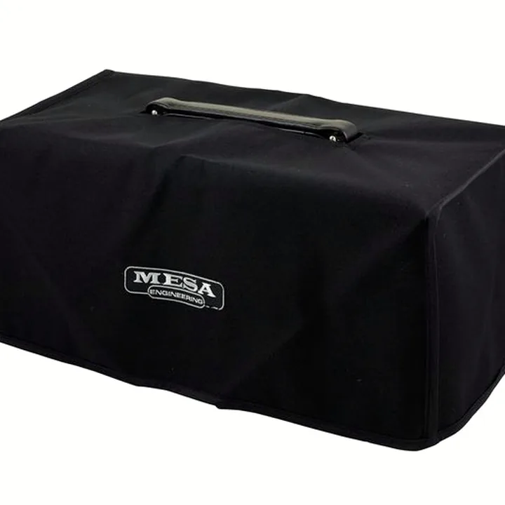 Mesa Boogie Recto-Verb Twenty-Five Head – Test, Avis, Comparatif