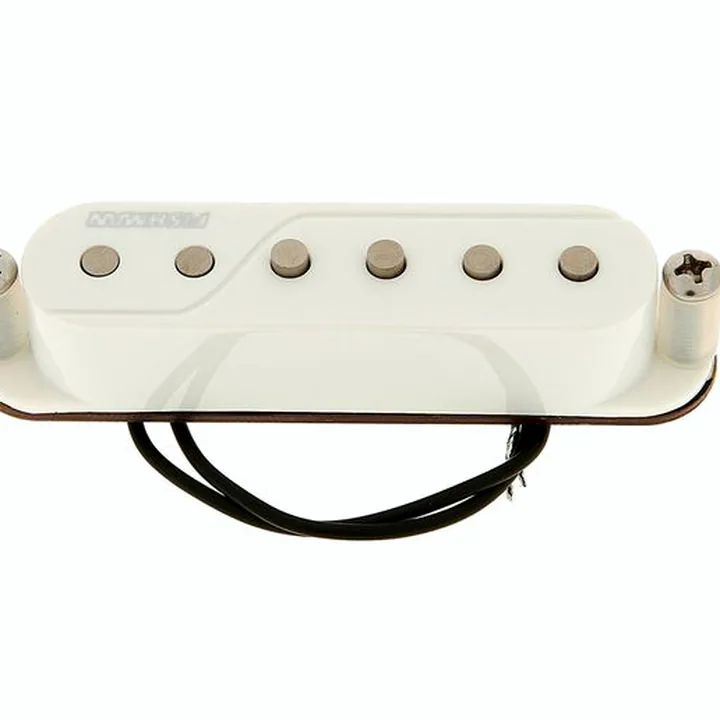 Micro Fishman Fluence SSP Single Width : Comparatif, Avis et Test