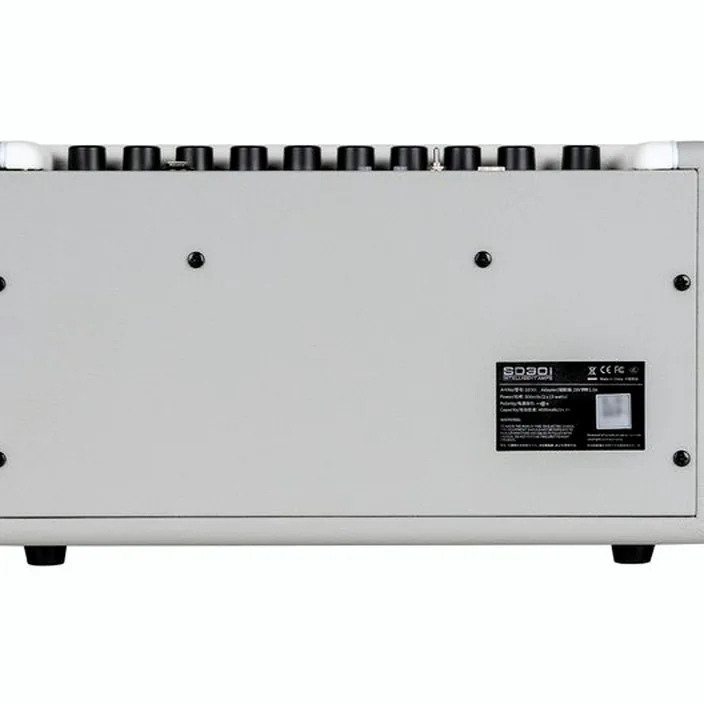 Mooer SD30i Modeling Guitar Combo