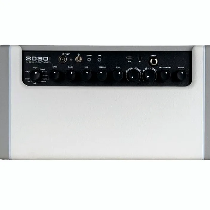 Mooer SD30i Modeling Guitar Combo