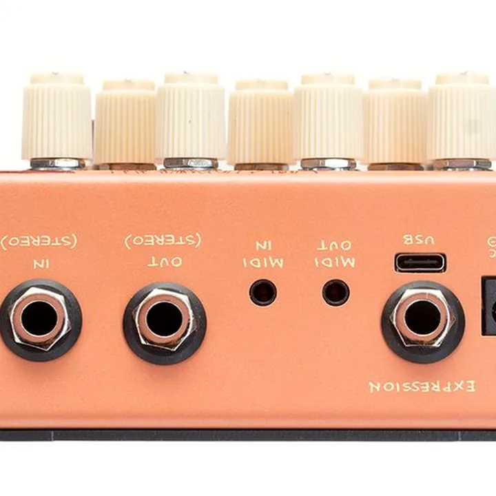 Old Blood Noise Endeavors Black Fountain Stereo Delay TE Avis et Test