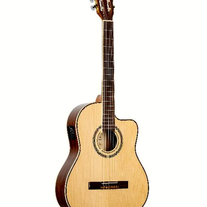 Ortega RCE141NT