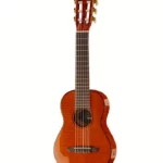 Avis et Test : Ortega RGLE18FMH Guitarlele