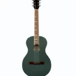 Ortega RRA-PLT Parlor Ranger Platin Comparatif, Avis et Test
