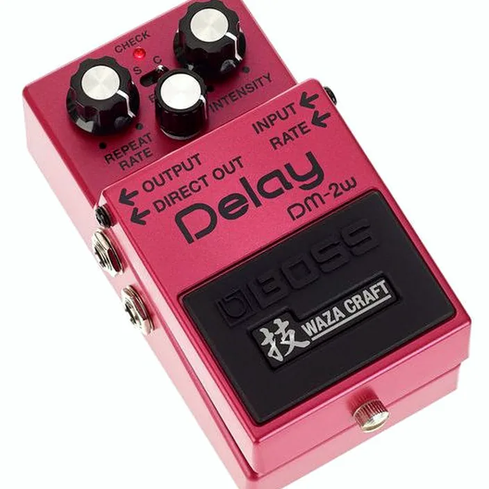 Pédale Boss DM-2W Delay Test, Avis