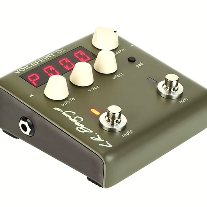 Pédale L.R.Baggs Voiceprint DI Test et Avis