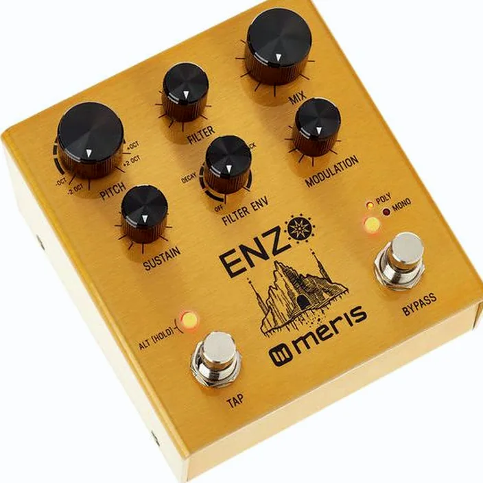 Pédale Meris Enzo Multi-Voice Synthesizer Test, Avis et Comparatif
