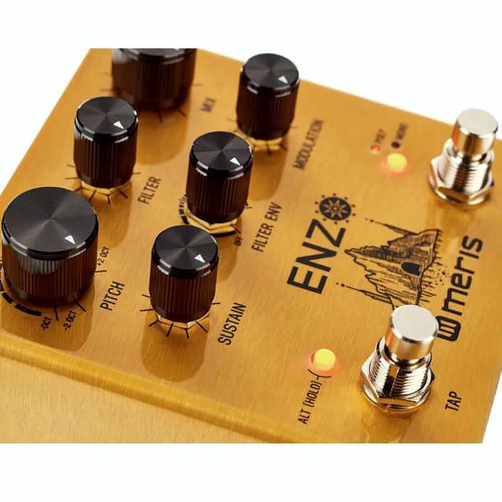 Pédale Meris Enzo Multi-Voice Synthesizer Test, Avis et Comparatif