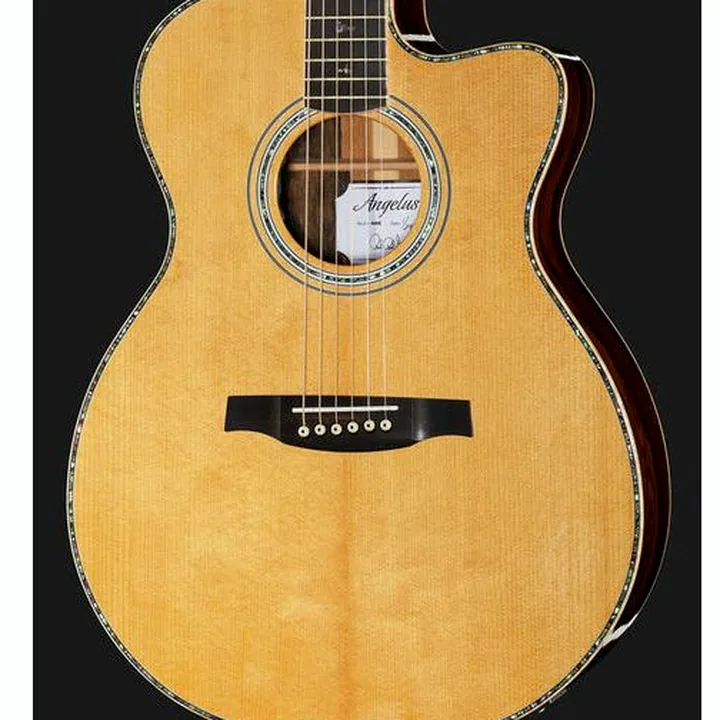 PRS SE A60E Natural / Avis, Comparatif et Test