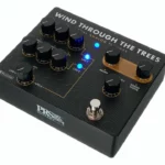 PRS Wind Through the trees Dual Fl , Avis, Test