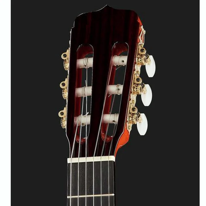 Ramirez Estudio Flamenco Palosanto