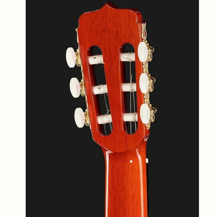 Ramirez Estudio Flamenco Palosanto