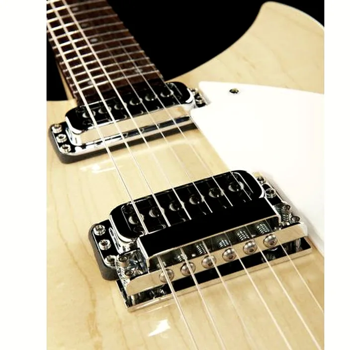 Et Avis : Rickenbacker 330 MG