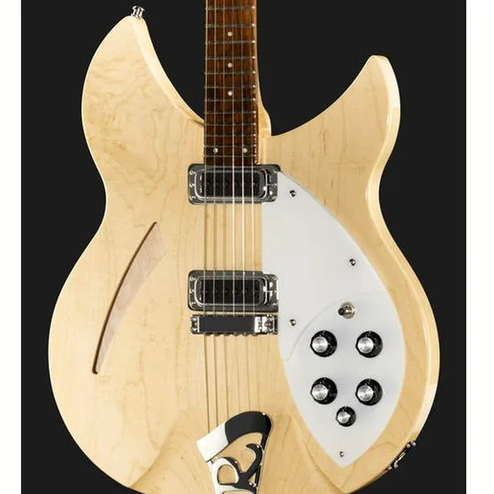 Et Avis : Rickenbacker 330 MG
