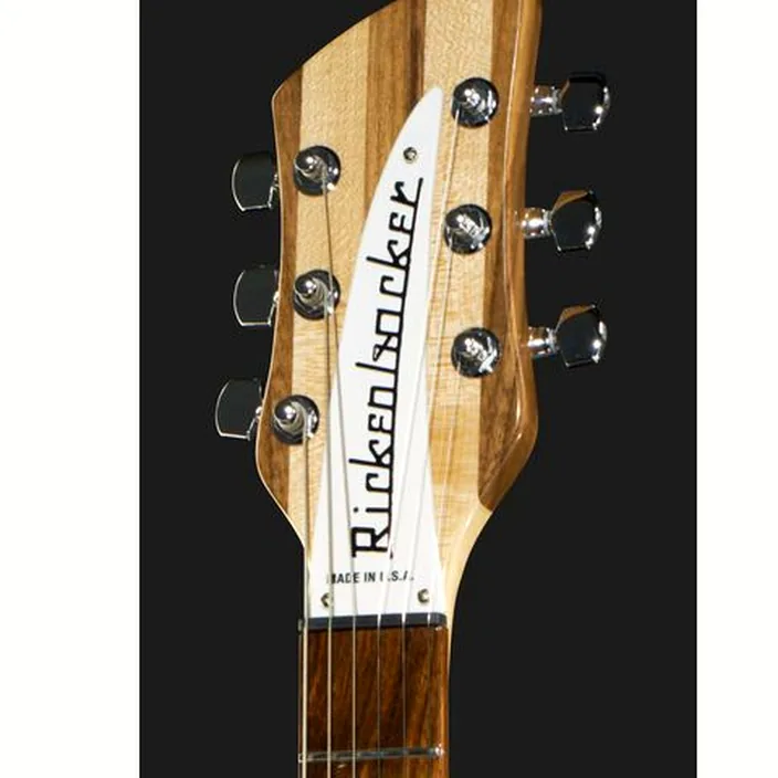 Et Avis : Rickenbacker 330 MG
