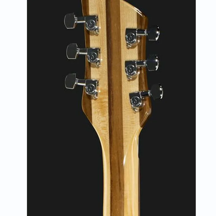 Et Avis : Rickenbacker 330 MG