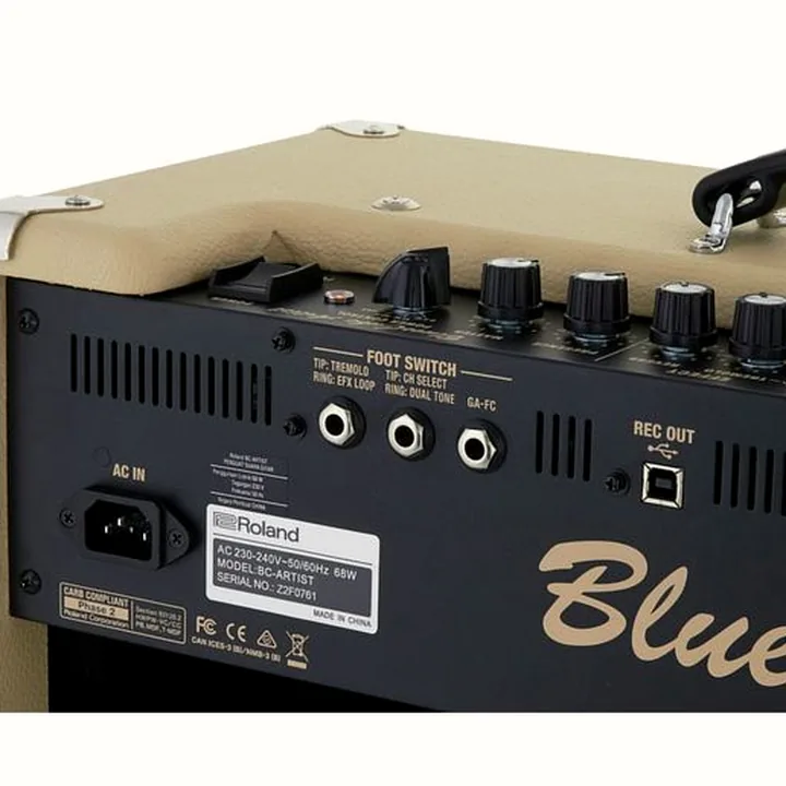 Roland Blues Cube Artist : Test, Avis