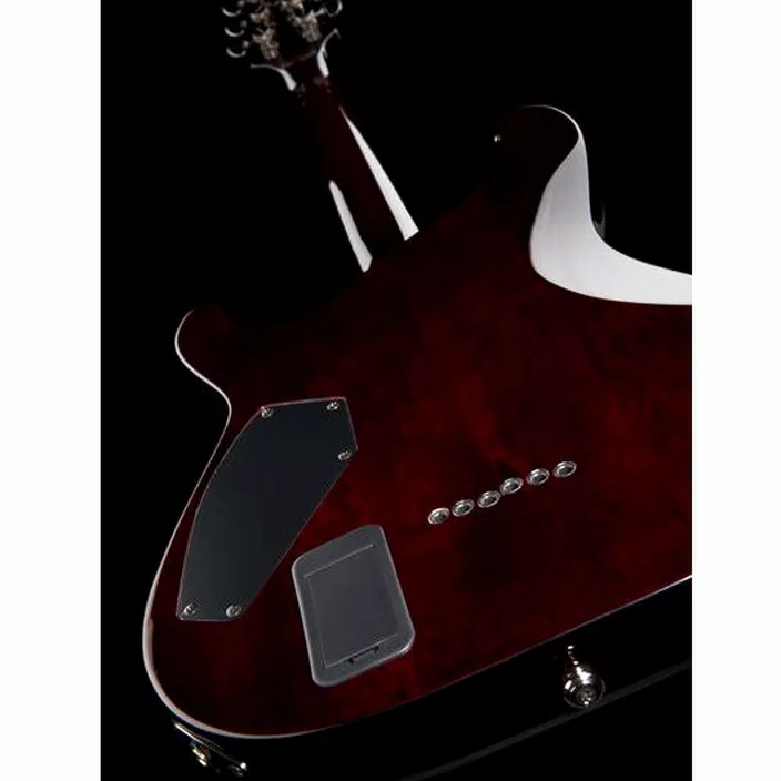 Et Test : Schecter C-1 Hellraiser BCH
