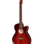 Seagull Performer Cut Concert Hall / Avis, Comparatif, Test