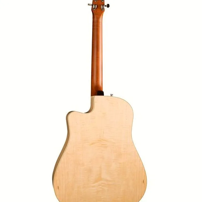 Et Avis : Seagull Performer CW HG Presys II