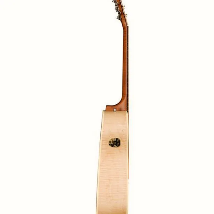 Et Avis : Seagull Performer CW HG Presys II