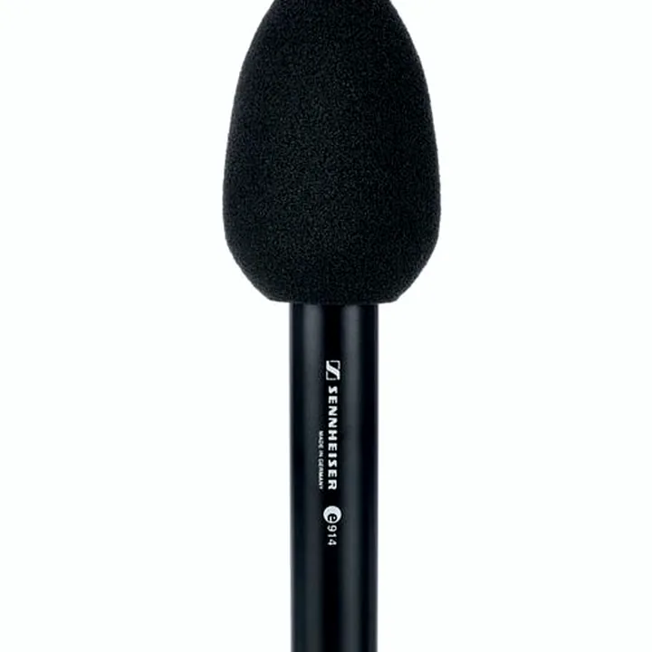 Sennheiser E 914 Test, Avis et Comparatif
