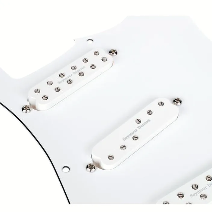 Seymour Duncan Everything Axe Loaded PG WH Avis, Comparatif, Test