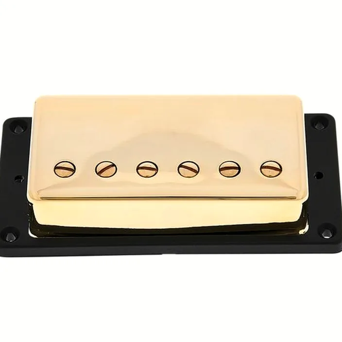 Seymour Duncan Lari Basilio Bridge Pickup G