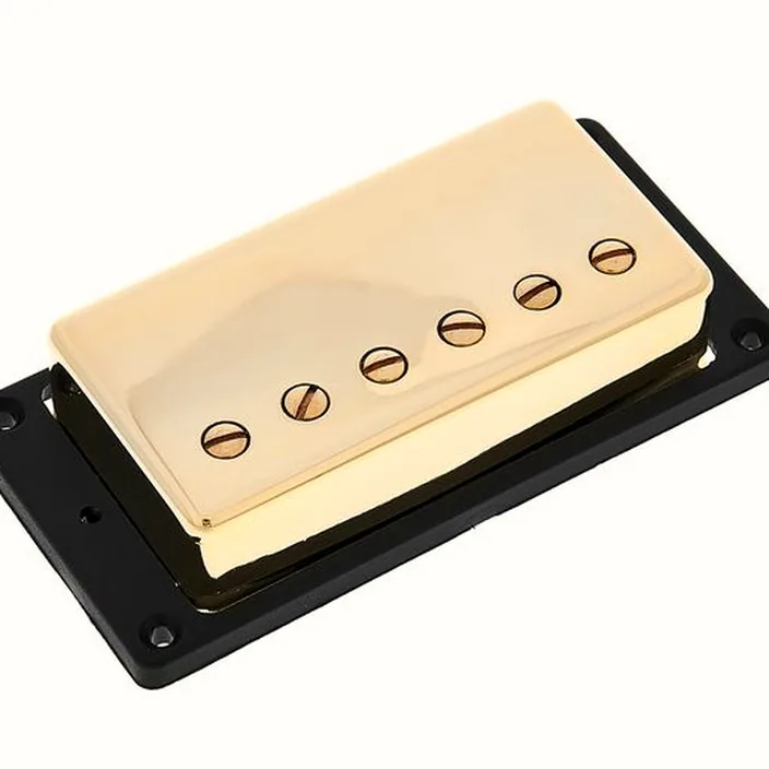 Seymour Duncan Lari Basilio Bridge Pickup G