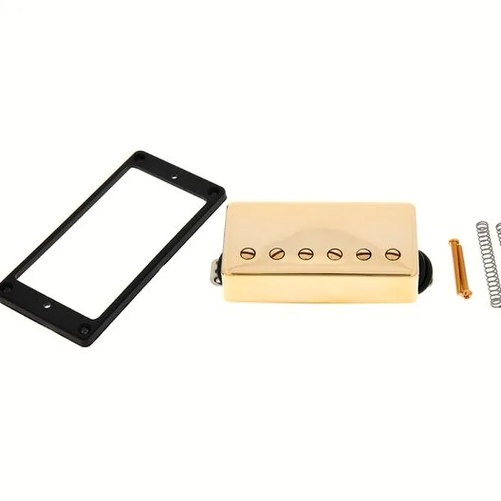 Seymour Duncan Lari Basilio Bridge Pickup G