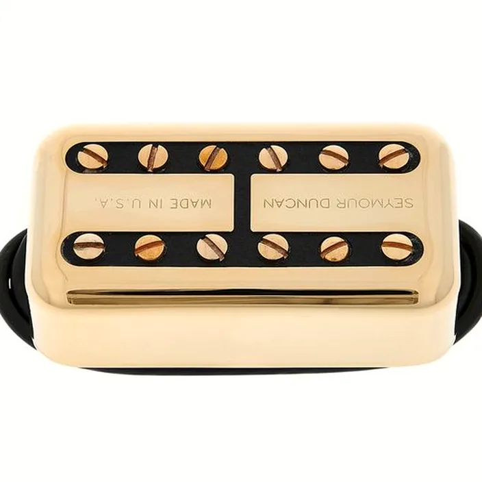 Seymour Duncan Psyclone Filter'Tron Bridge G