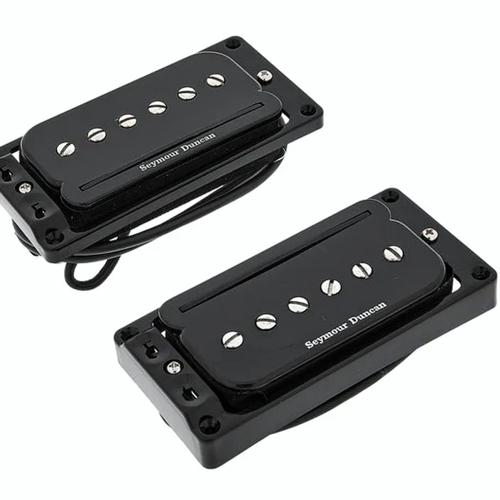 Seymour Duncan SHPR-1S P-Rail Set Arched BK : Avis, Comparatif & Test