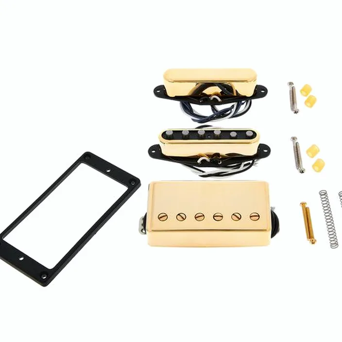 Seymour Duncan Signat. Lari Basilio Pickup G Comparatif, Test, Avis