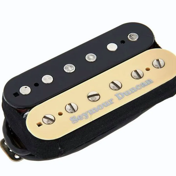 Seymour Duncan TB-PG1B Zebra / Avis, Comparatif, Test