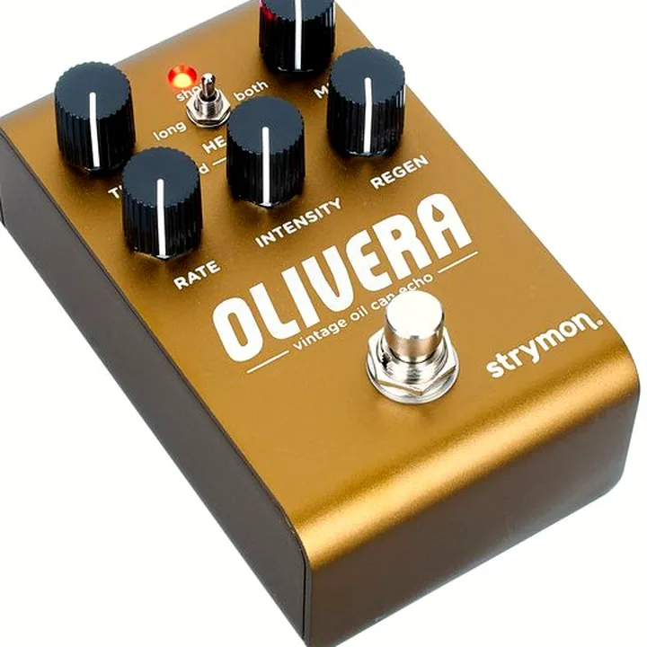 Strymon Olivera Delay : Test, Comparatif, Avis