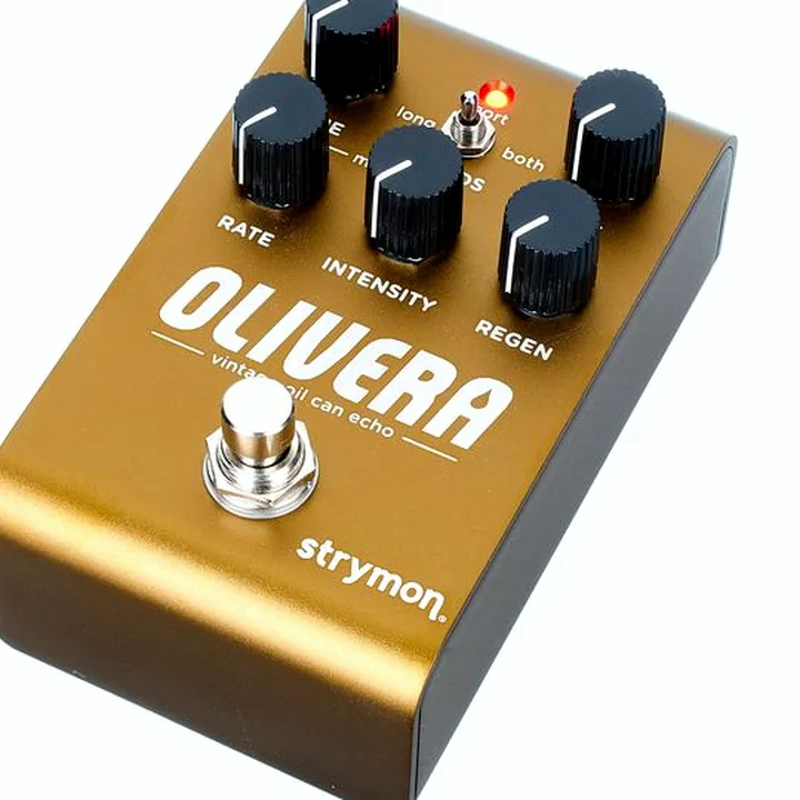 Strymon Olivera Delay : Test, Comparatif, Avis