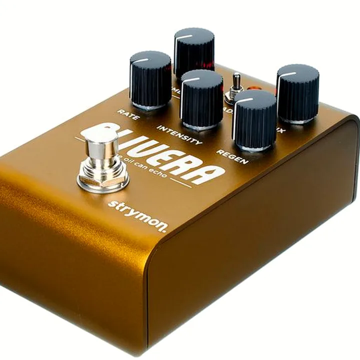 Strymon Olivera Delay : Test, Comparatif, Avis