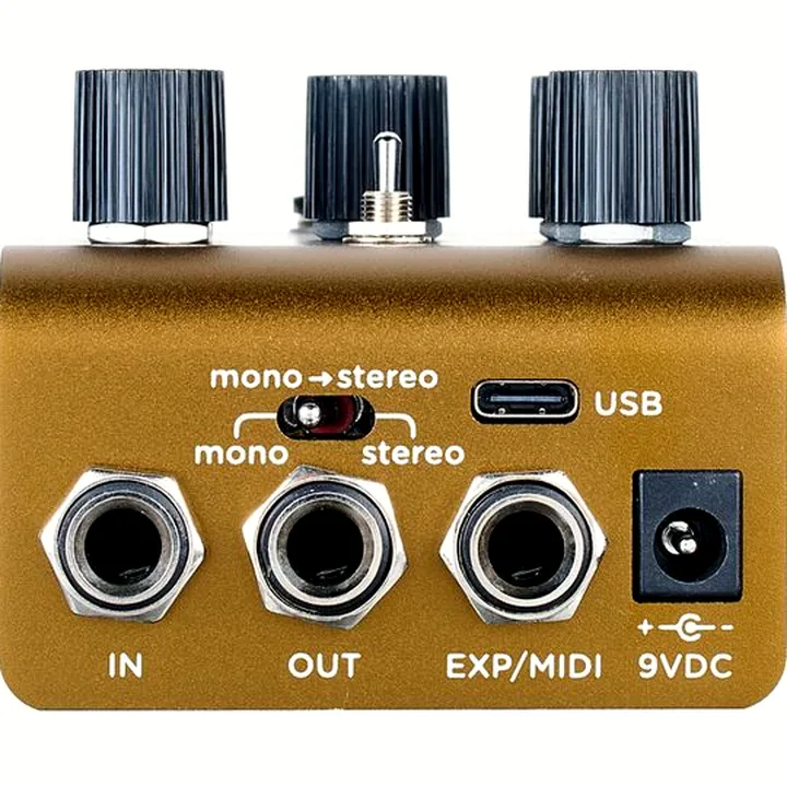 Strymon Olivera Delay : Test, Comparatif, Avis