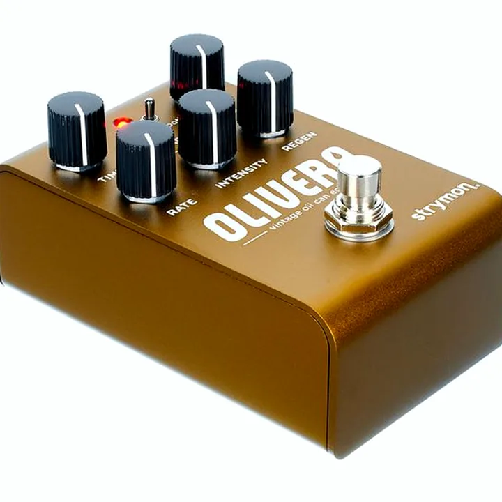 Strymon Olivera Delay : Test, Comparatif, Avis
